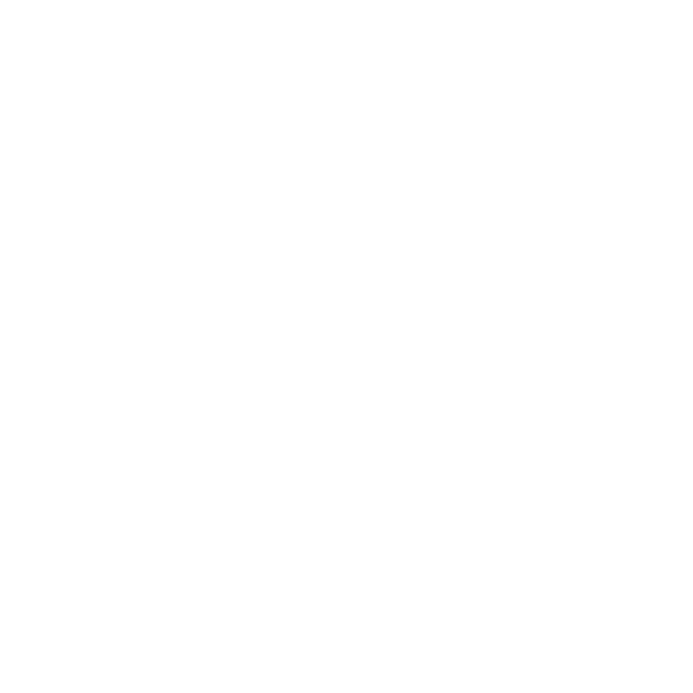 FG Group Holdings